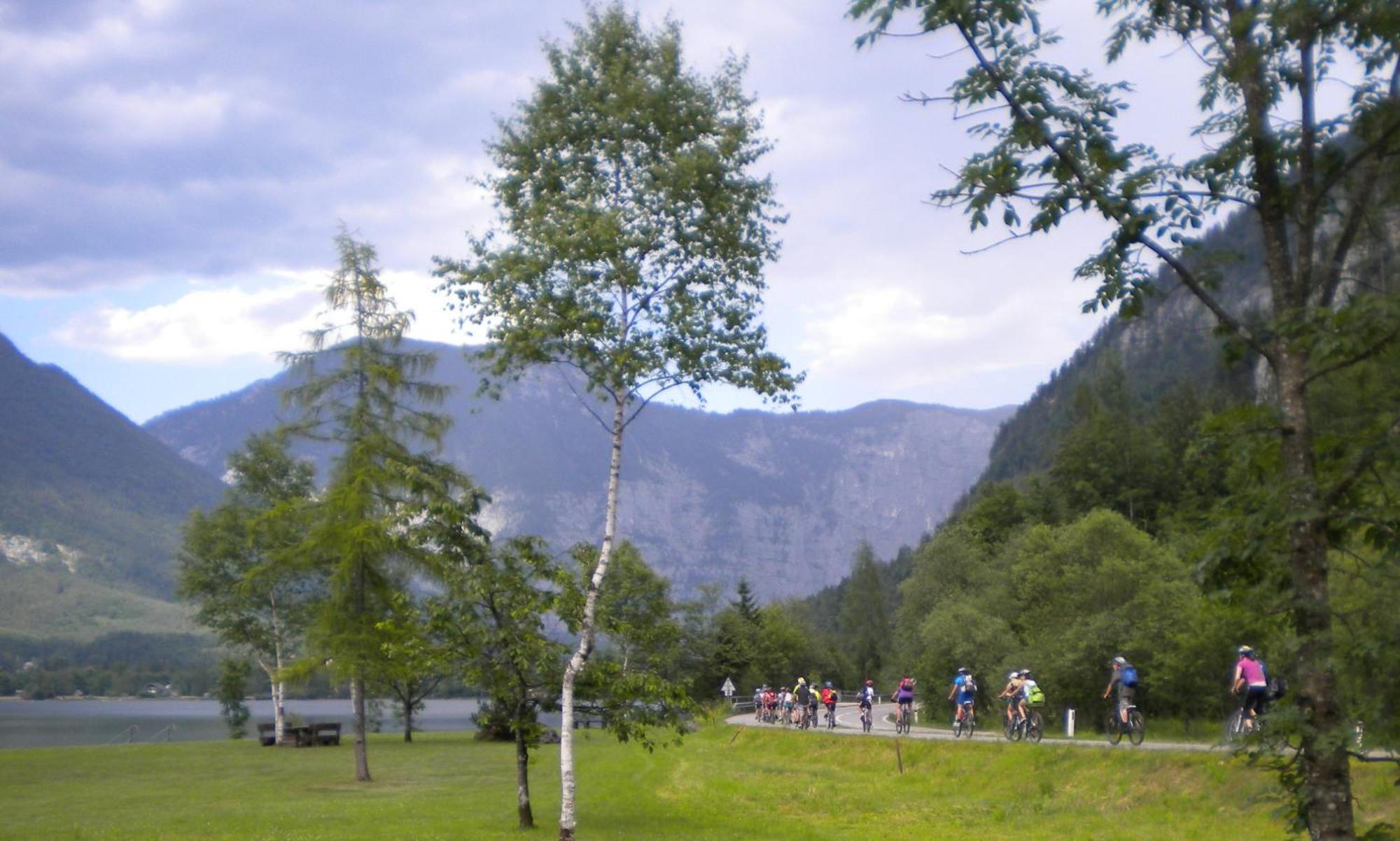 Wohlfuehlhotel Goiserer Muehle Bad Goisern Extérieur photo
